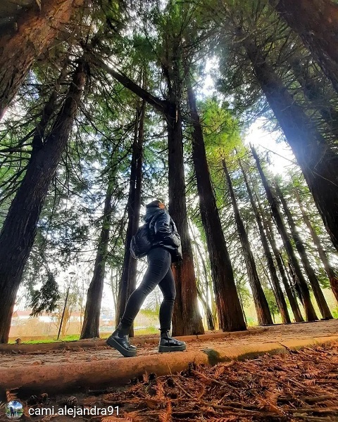 caminar_parque_osorno.jpg