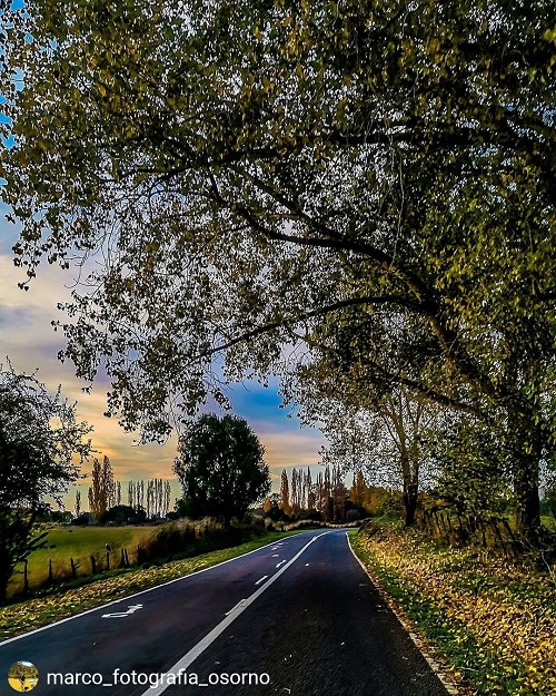 carreteras-osorno-2.jpg