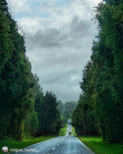 carreteras_osorno.jpg