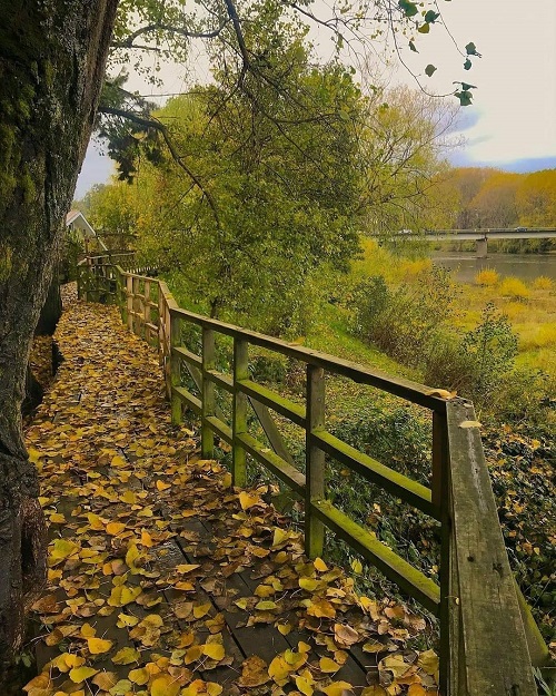 parque-bella-vista-osorno.jpg