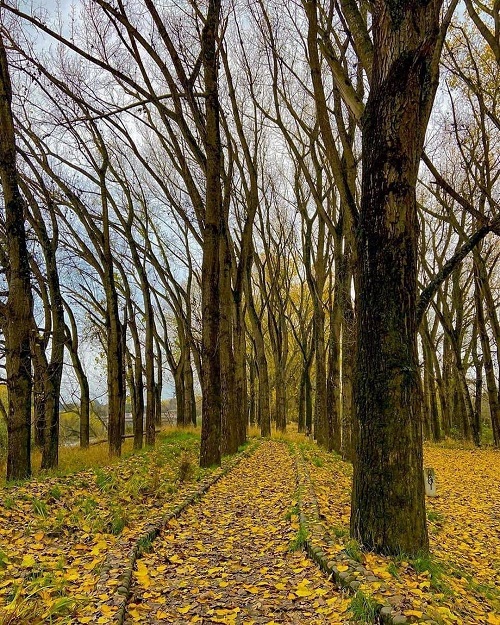 parque-otoo-osorno.jpg