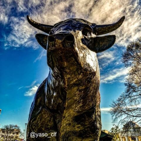 toro-plaza-osorno.jpg
