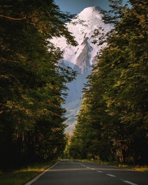 volcan-osorno-arboles.jpg