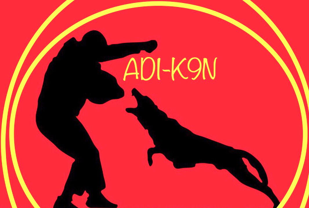 adiestramiento canino en osorno