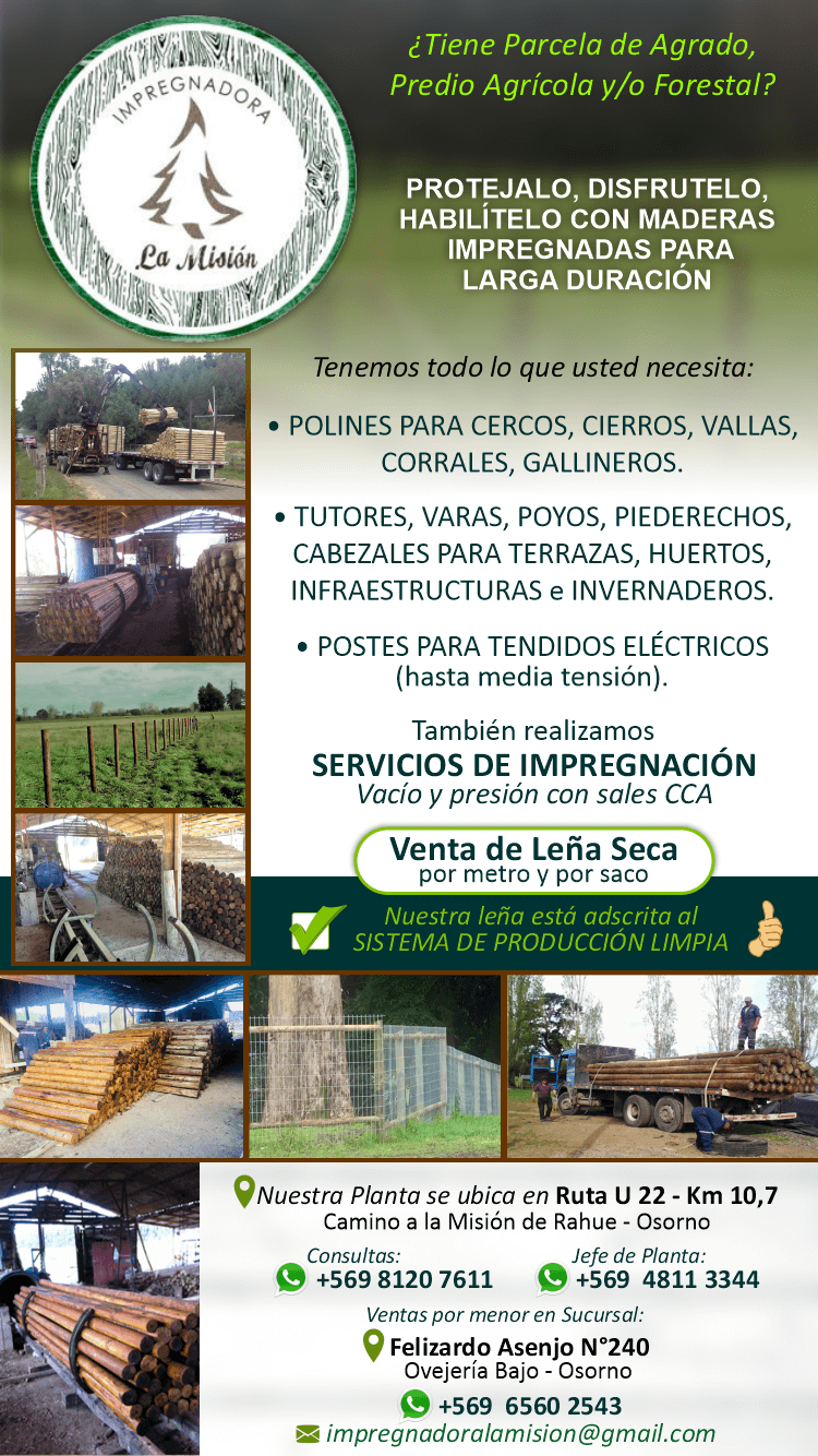impregnadora madera osorno